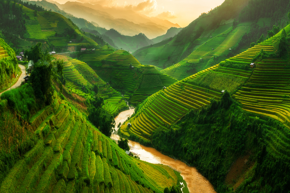 Vietnam Holiday Packages